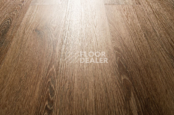 IVC Primero (DryBack) IVC Primero  22857Q фото 6 | FLOORDEALER
